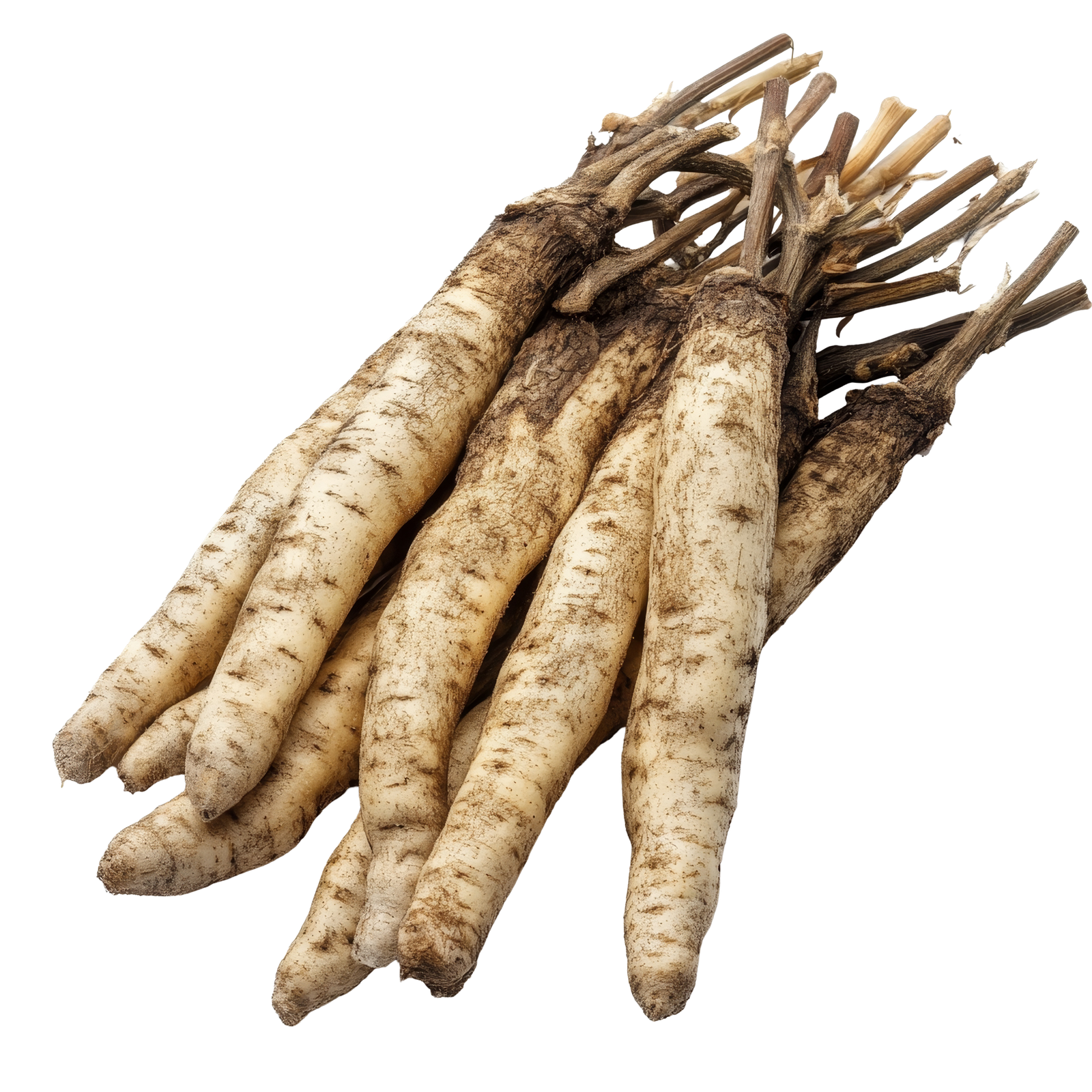 Kaempferia Oil - Image 4