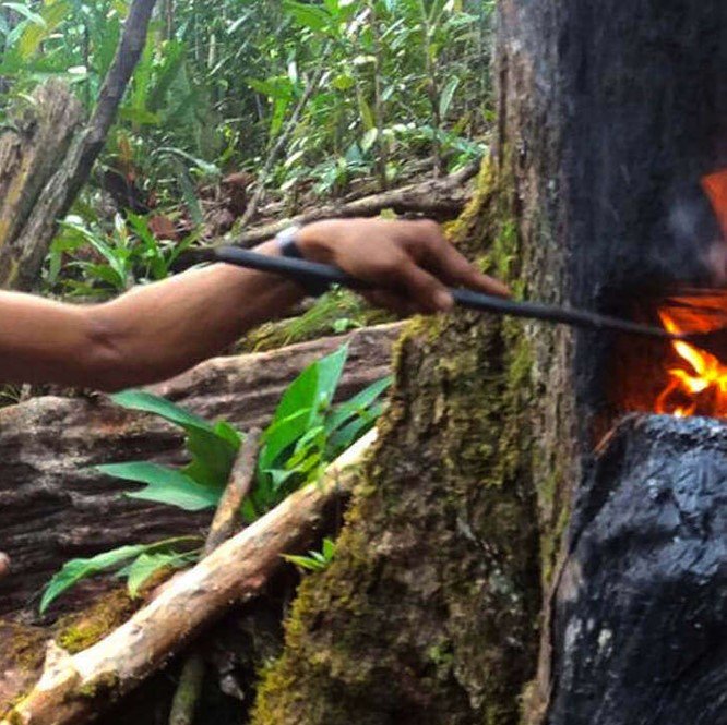 Gurjun Balsam Oil - Image 3