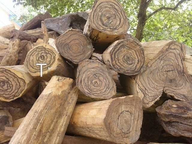 Agarwood Oil - Image 4