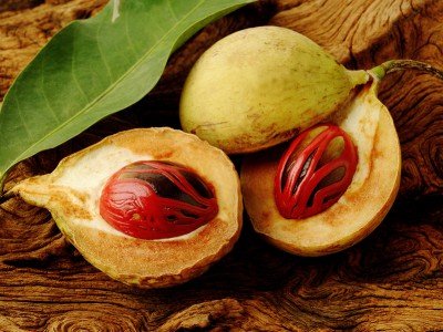 Nutmeg Oil