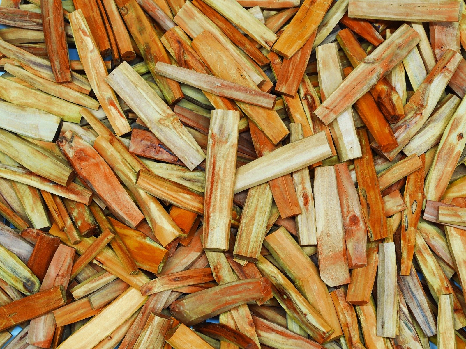 WhatsApp Image 2026-01-13 at 13.53.13