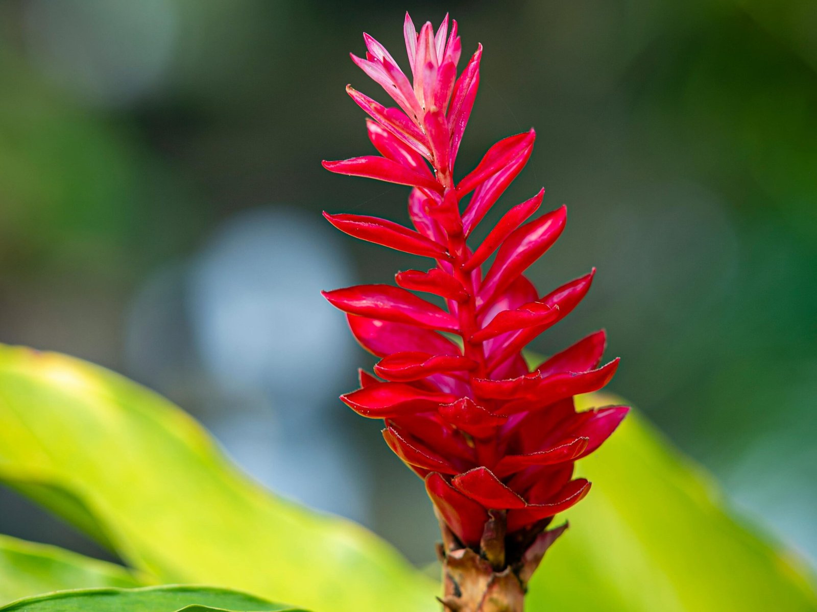 pexels-ti-u-b-o-tr-ng-41366219-7307634-scaled